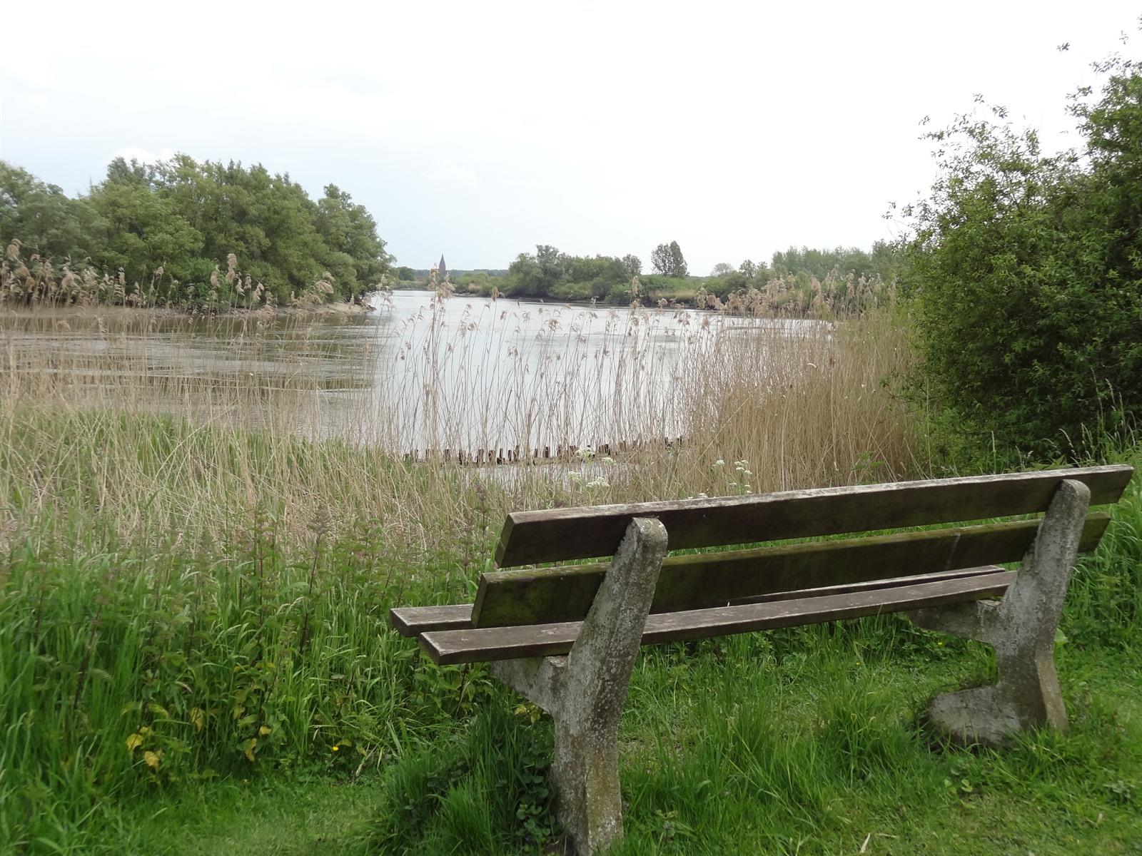 schelde buggenhout