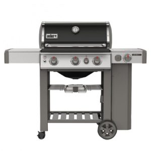 weber genesis 330